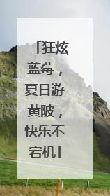狂炫蓝莓，夏日游黄陂，快乐不宕机