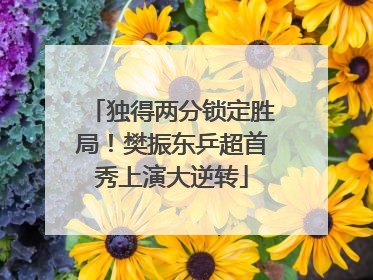 独得两分锁定胜局！樊振东乒超首秀上演大逆转