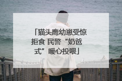 猫头鹰幼崽受惊拒食 民警“奶爸式”暖心投喂