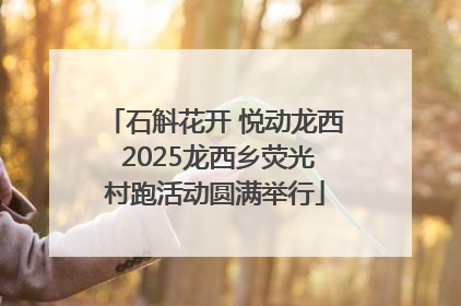 石斛花开 悦动龙西 2025龙西乡荧光村跑活动圆满举行