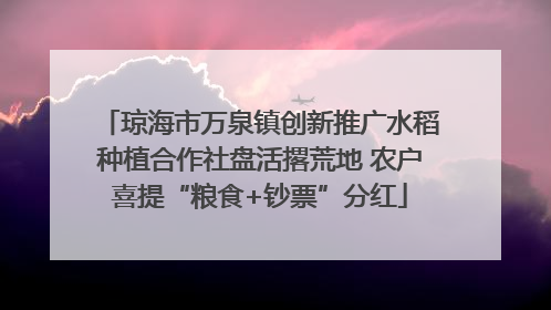 琼海市万泉镇创新推广水稻种植合作社盘活撂荒地 农户喜提“粮食+钞票”分红