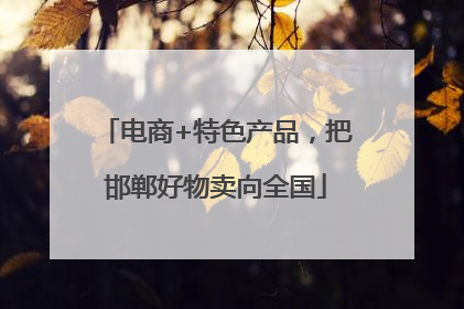 电商+特色产品，把邯郸好物卖向全国