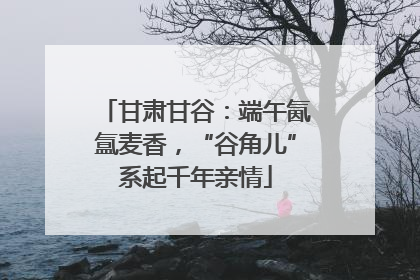 甘肃甘谷：端午氤氲麦香，“谷角儿”系起千年亲情