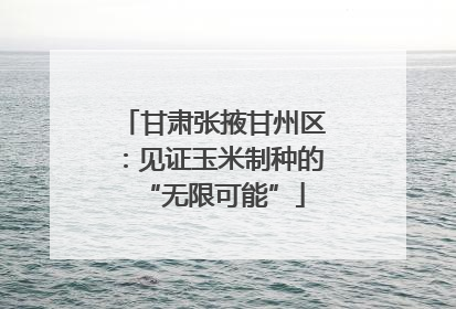 甘肃张掖甘州区：见证玉米制种的“无限可能”