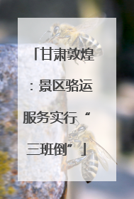 甘肃敦煌：景区骆运服务实行“三班倒”