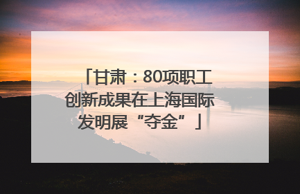 甘肃：80项职工创新成果在上海国际发明展“夺金”