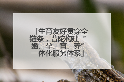 生育友好贯穿全链条，普陀构建“婚、孕、育、养”一体化服务体系