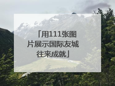 用111张图片展示国际友城往来成就