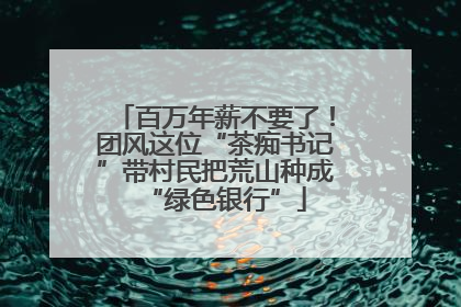 百万年薪不要了！团风这位“茶痴书记”带村民把荒山种成“绿色银行”
