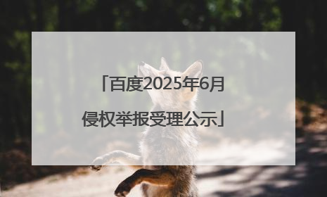 百度2025年6月侵权举报受理公示