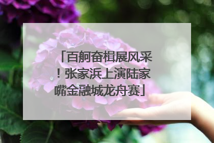 百舸奋楫展风采！张家浜上演陆家嘴金融城龙舟赛