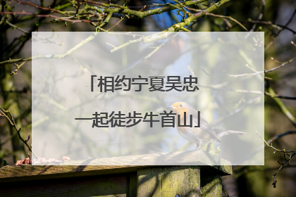 相约宁夏吴忠 一起徒步牛首山