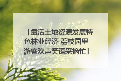 盘活土地资源发展特色林业经济 荔枝园里游客欢声笑语采摘忙