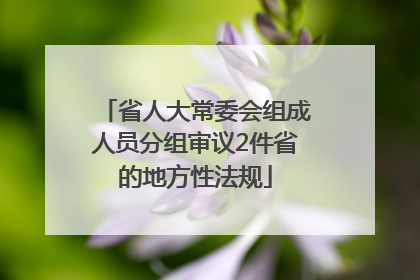 省人大常委会组成人员分组审议2件省的地方性法规