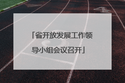 省开放发展工作领导小组会议召开