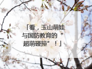 看，玉山萌娃与国防教育的“超萌碰撞”！