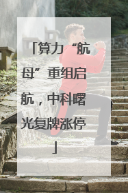 算力“航母”重组启航，中科曙光复牌涨停