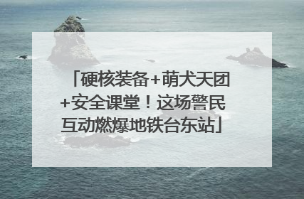 硬核装备+萌犬天团+安全课堂！这场警民互动燃爆地铁台东站