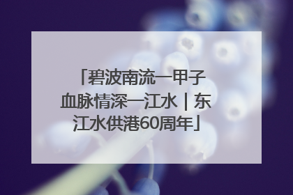碧波南流一甲子 血脉情深一江水｜东江水供港60周年