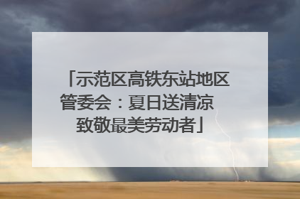 示范区高铁东站地区管委会：夏日送清凉 致敬最美劳动者