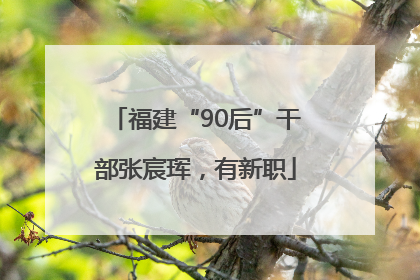 福建“90后”干部张宸珲，有新职