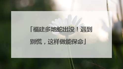 福建多地蛇出没！遇到别慌，这样做能保命