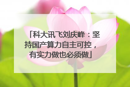科大讯飞刘庆峰：坚持国产算力自主可控，有实力做也必须做