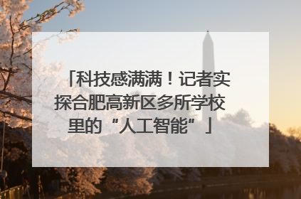 科技感满满！记者实探合肥高新区多所学校里的“人工智能”