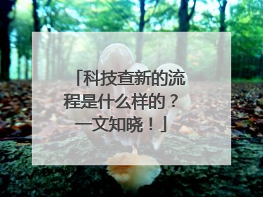 科技查新的流程是什么样的？一文知晓！