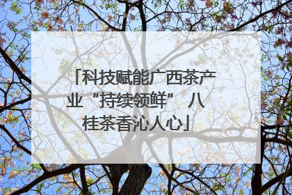 科技赋能广西茶产业“持续领鲜” 八桂茶香沁人心