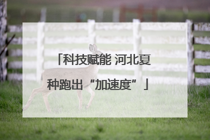 科技赋能 河北夏种跑出“加速度”