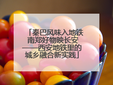秦巴风味入地铁 南郑好物映长安——西安地铁里的城乡融合新实践