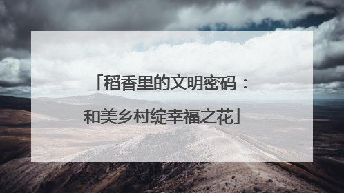 稻香里的文明密码：和美乡村绽幸福之花