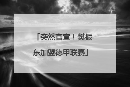 突然官宣！樊振东加盟德甲联赛