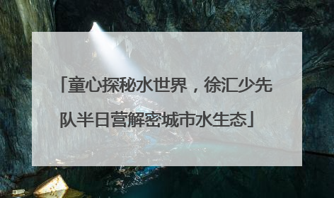 童心探秘水世界，徐汇少先队半日营解密城市水生态