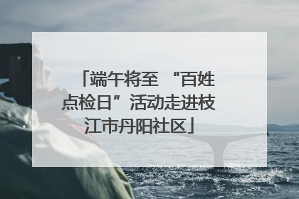 端午将至 “百姓点检日”活动走进枝江市丹阳社区