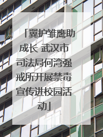 翼护雏鹰助成长 武汉市司法局何湾强戒所开展禁毒宣传进校园活动
