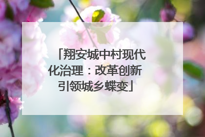 翔安城中村现代化治理：改革创新引领城乡蝶变