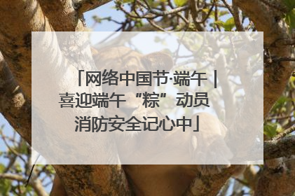 网络中国节·端午｜喜迎端午“粽”动员 消防安全记心中