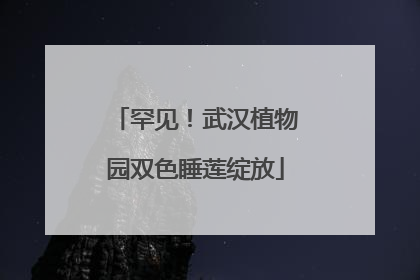 罕见！武汉植物园双色睡莲绽放