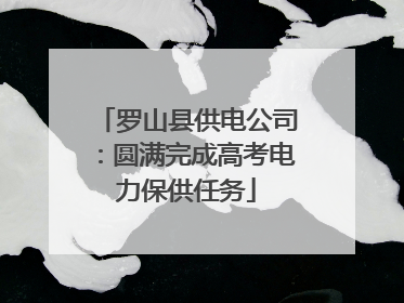 罗山县供电公司：圆满完成高考电力保供任务