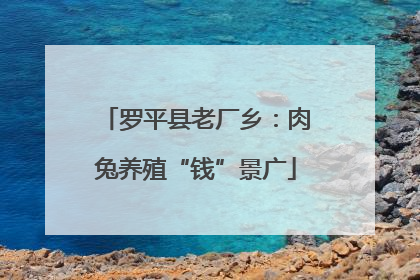 罗平县老厂乡：肉兔养殖“钱”景广