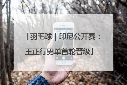 羽毛球｜印尼公开赛：王正行男单首轮晋级