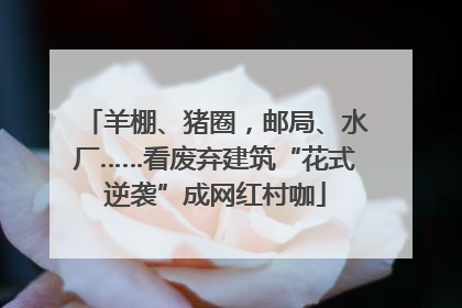 羊棚、猪圈，邮局、水厂……看废弃建筑“花式逆袭”成网红村咖