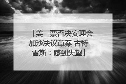 美一票否决安理会加沙决议草案 古特雷斯：感到失望
