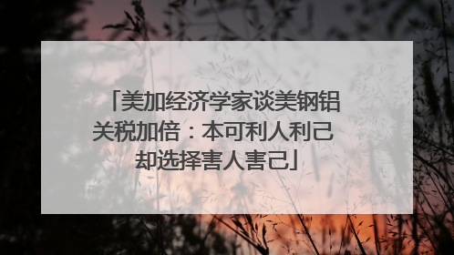 美加经济学家谈美钢铝关税加倍：本可利人利己 却选择害人害己