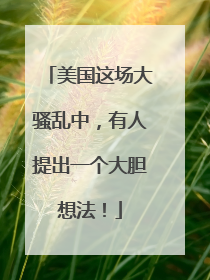 美国这场大骚乱中，有人提出一个大胆想法！