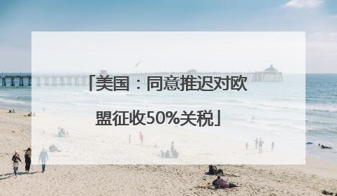美国：同意推迟对欧盟征收50%关税