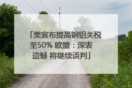 美宣布提高钢铝关税至50% 欧盟：深表遗憾 将继续谈判
