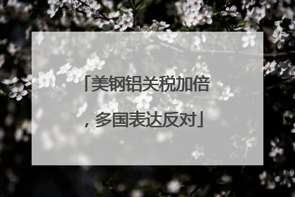 美钢铝关税加倍，多国表达反对
